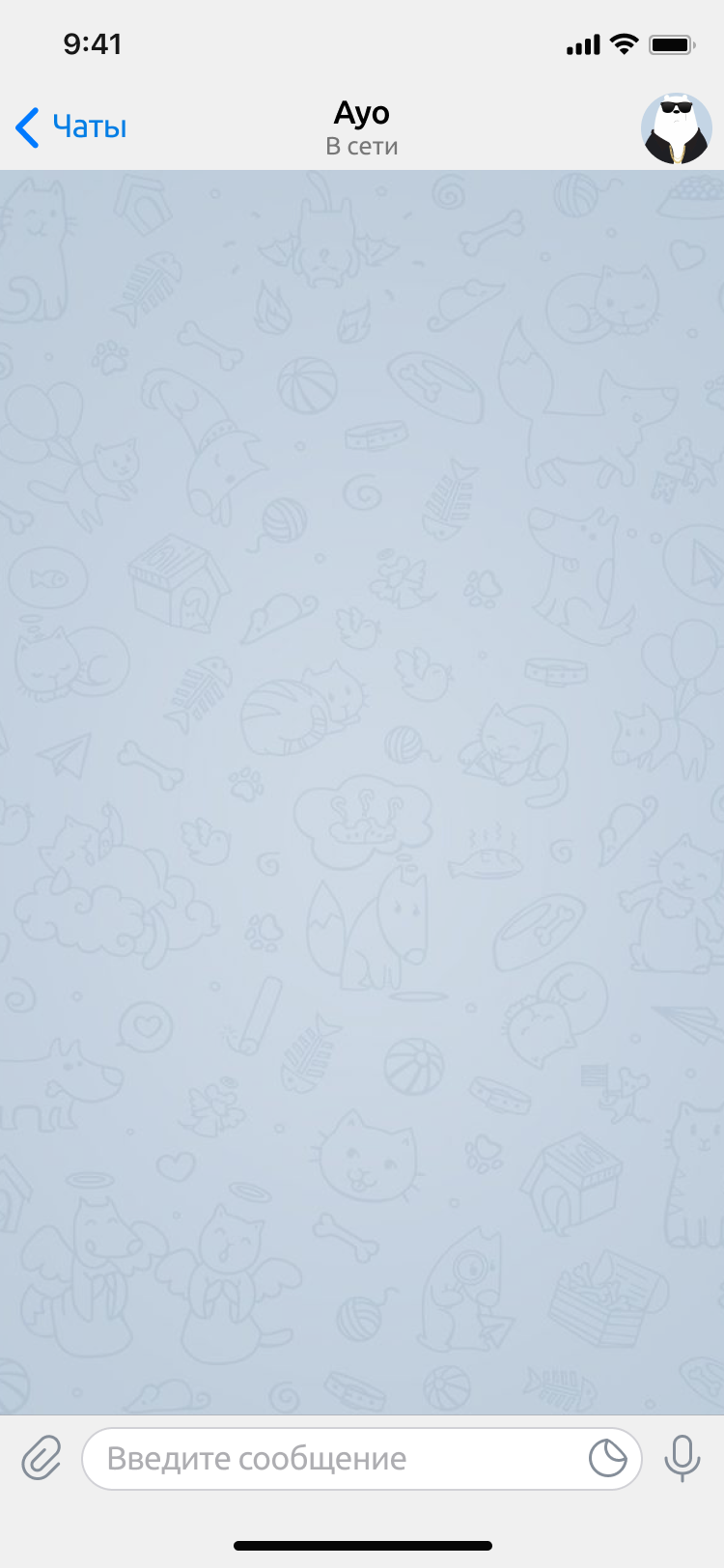 Phone Interface